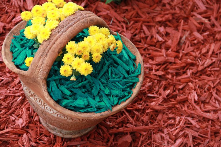 Lemn decorativ – Mulci Mulch de Gradina