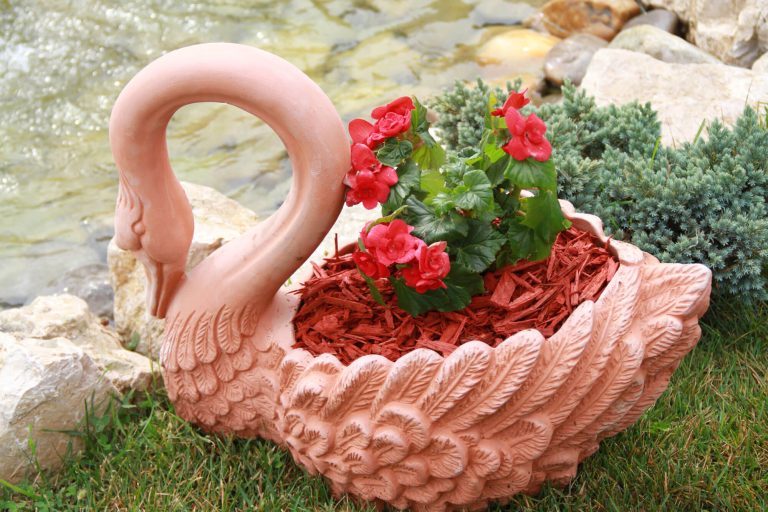 Mulci Decorativ Rosu – avantaje si utilizare