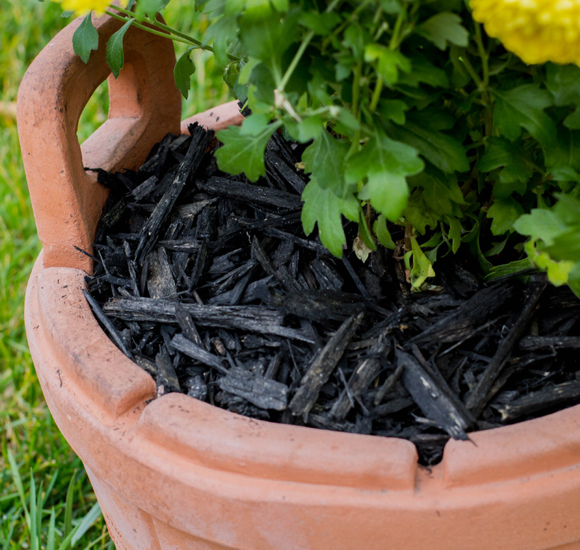 Mulci Negru - 6 saci de 50L 4 Mulci Negru - 6 saci de 50L